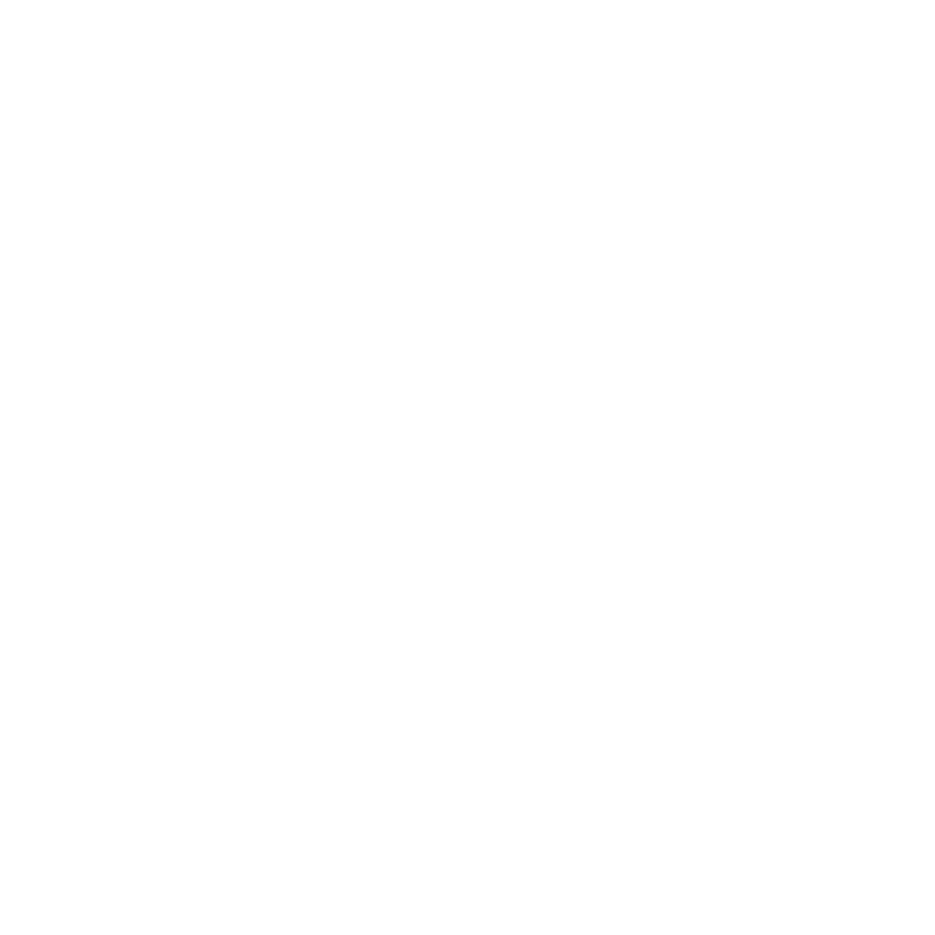 Vue trois-quarts du lion